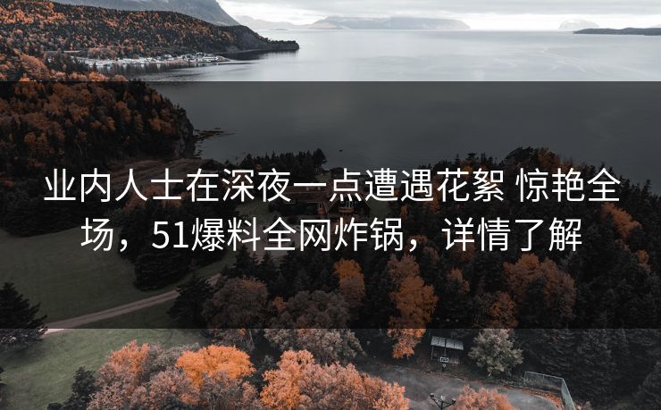 业内人士在深夜一点遭遇花絮 惊艳全场，51爆料全网炸锅，详情了解