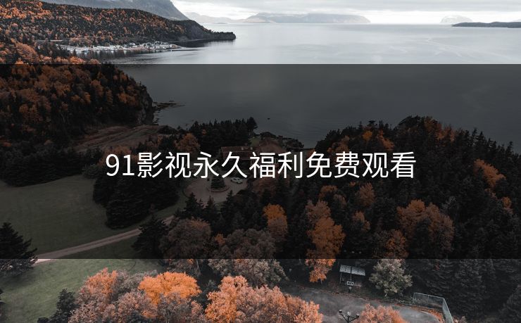 91影视永久福利免费观看